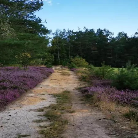 Daire Cozy In Germany With Garden
