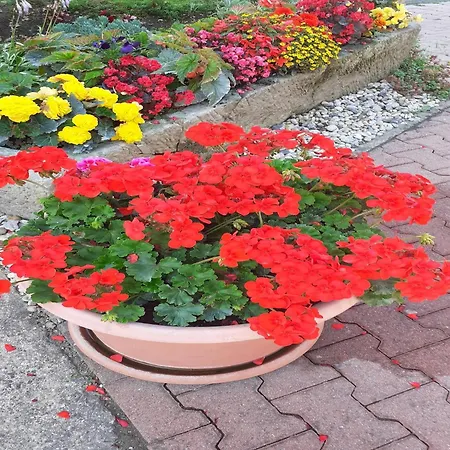 Cozy In Germany With Garden Апартаменты *