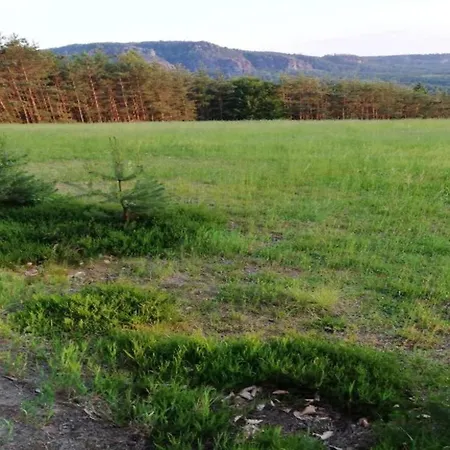 Апартаменты Cozy In Germany With Garden Lichtenhain (Sebnitz)