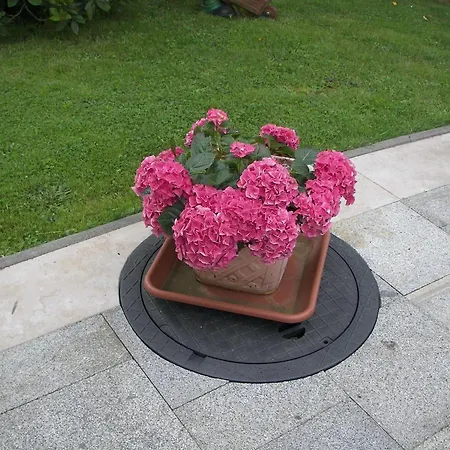 Cozy In Germany With Garden Apartment