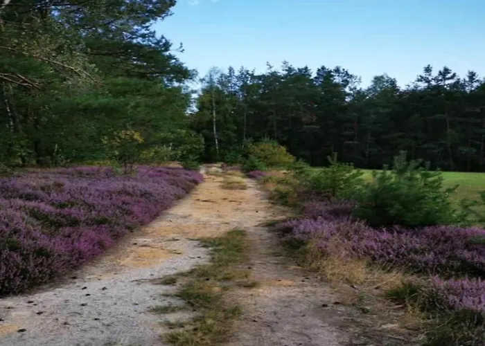 Apartmán Cozy In Germany With Garden