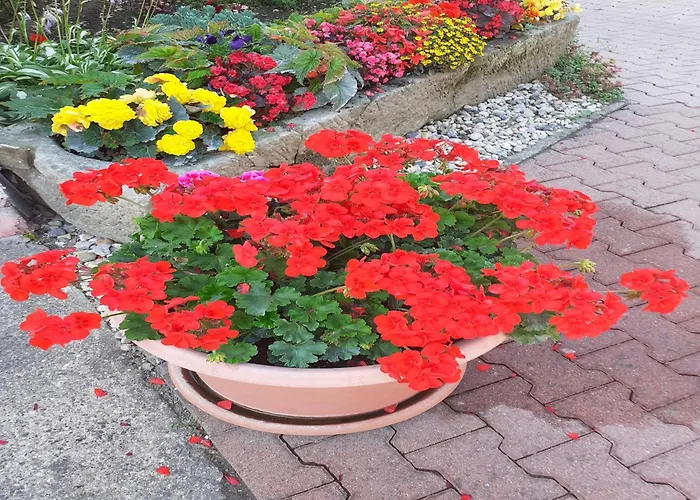 Cozy In Germany With Garden Apartmán *